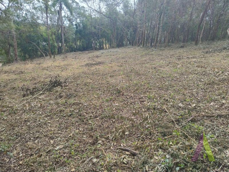 Terreno na Estrada do Vinho! 