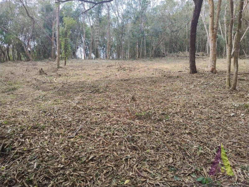 Terreno na Estrada do Vinho! 