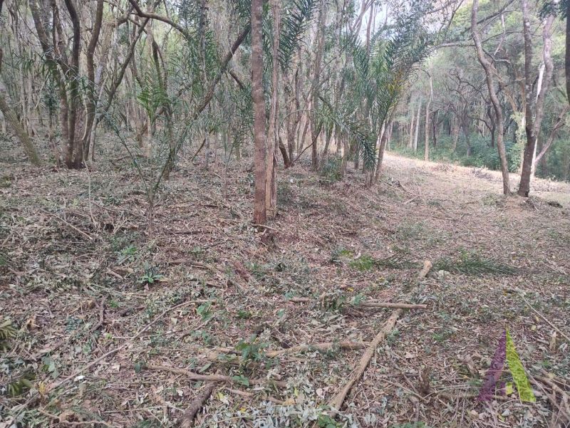 Terreno na Estrada do Vinho! 