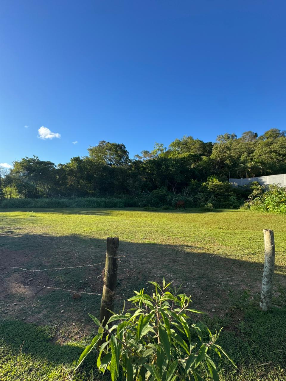 Terreno Plano Próximo ao Centro de São Roque!