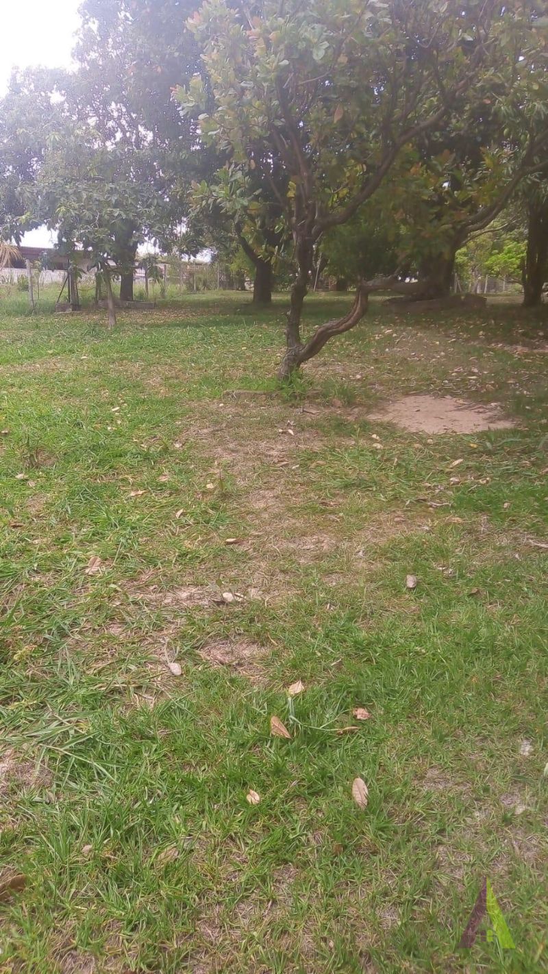 Terreno Plano Pronto para Construir em Alumínio!