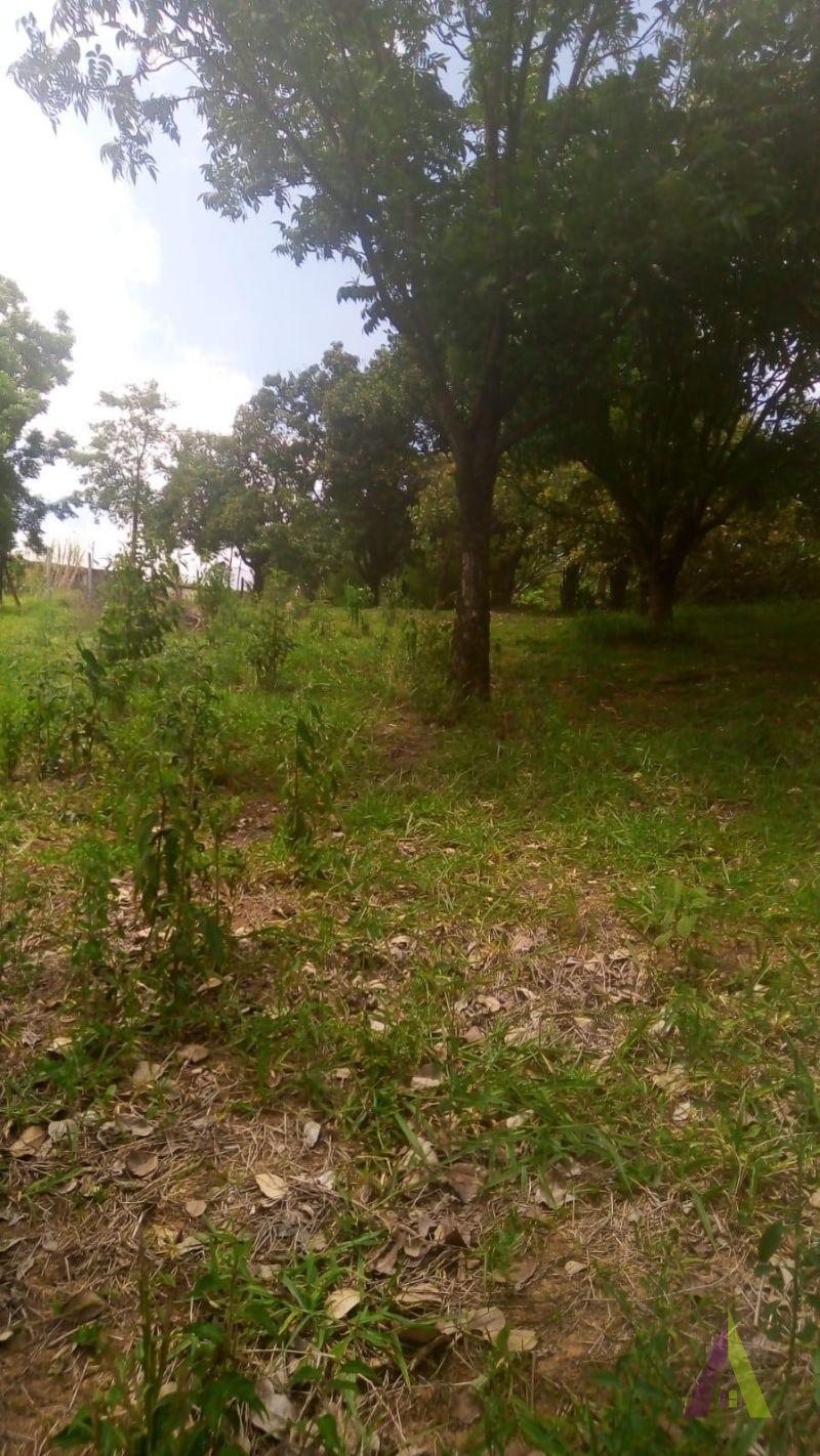 Terreno Plano Pronto para Construir em Alumínio!