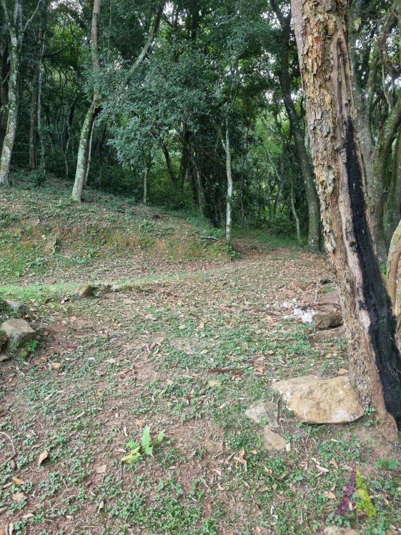 Chácara com 58.000 m² em São Roque!