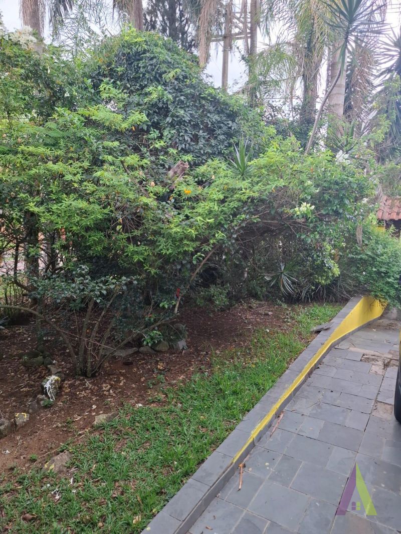 Chácara Rodeada de Muito Verde em São Roque!