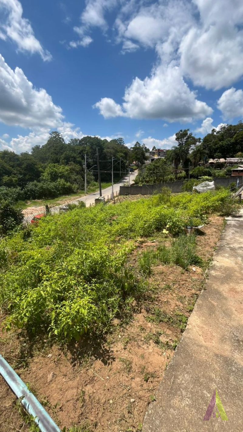 Chácara no Roteiro do Vinho em São Roque!