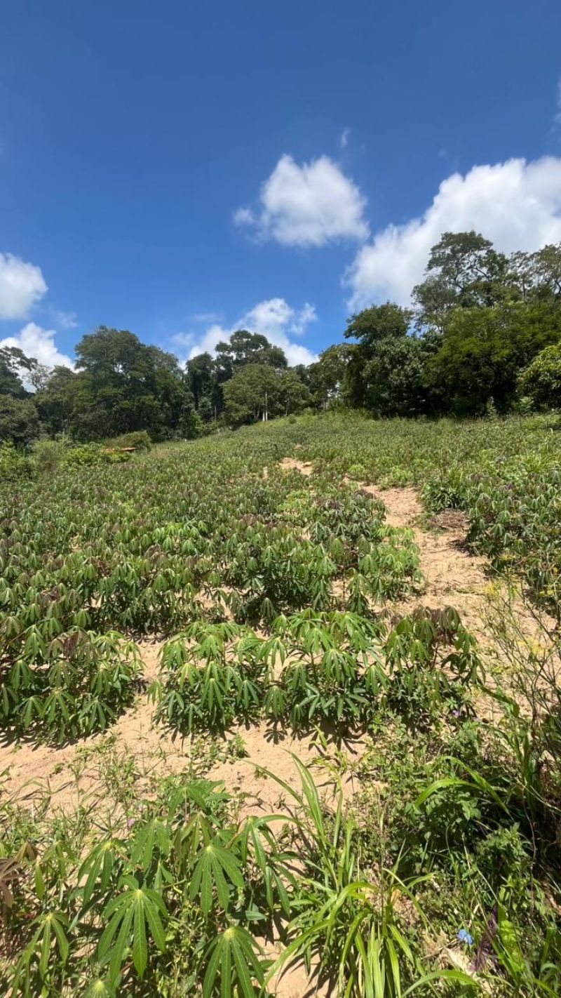 Chácara no Roteiro do Vinho em São Roque!