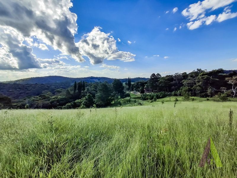 Sitio com fácil acesso e estrutura para criação de cavalos em São Roque!