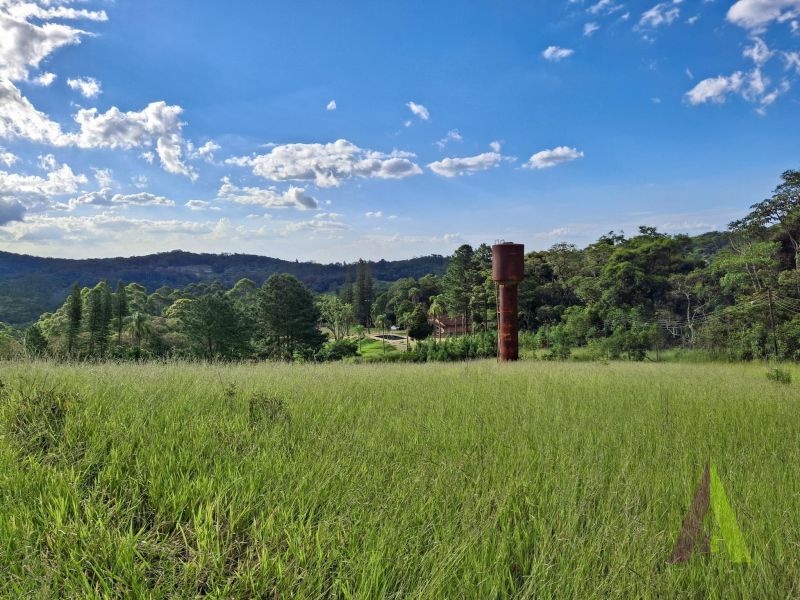 Sitio com fácil acesso e estrutura para criação de cavalos em São Roque!