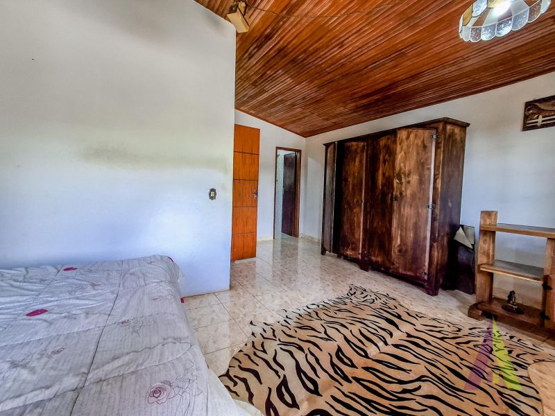 Sitio com fácil acesso e estrutura para criação de cavalos em São Roque!