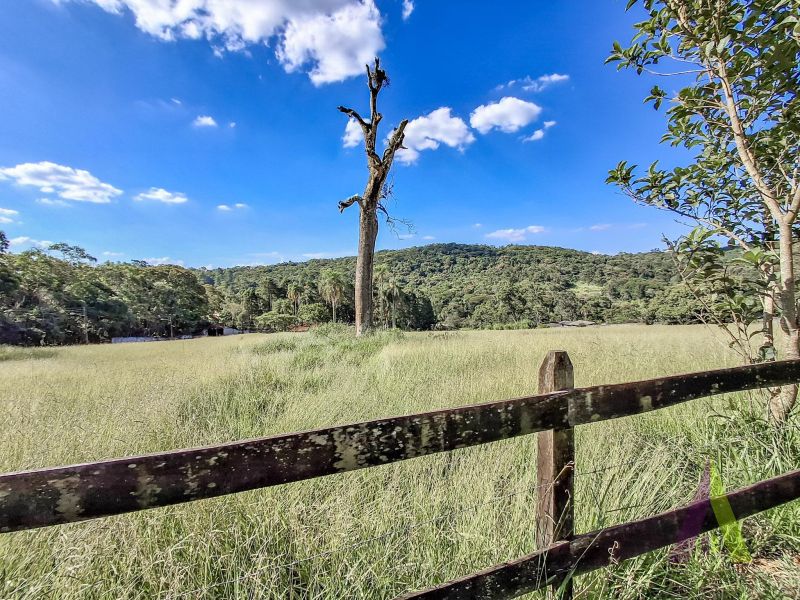 Sitio com fácil acesso e estrutura para criação de cavalos em São Roque!