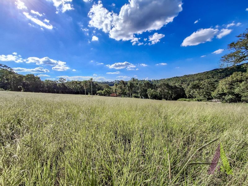 Sitio com fácil acesso e estrutura para criação de cavalos em São Roque!