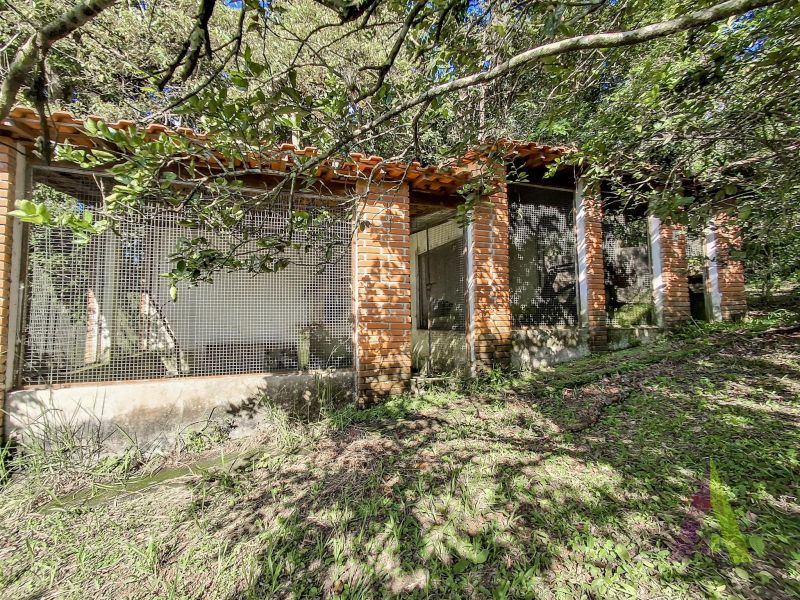 Sitio com fácil acesso e estrutura para criação de cavalos em São Roque!