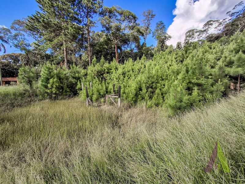Sitio com fácil acesso e estrutura para criação de cavalos em São Roque!