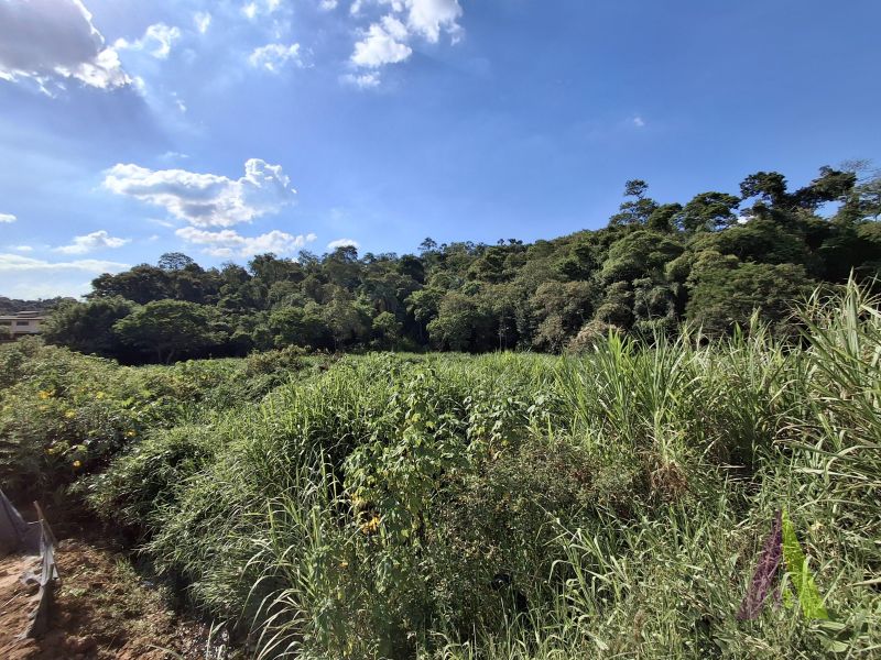 Excelente oportunidade para construir sua indústria / galpão comercial!