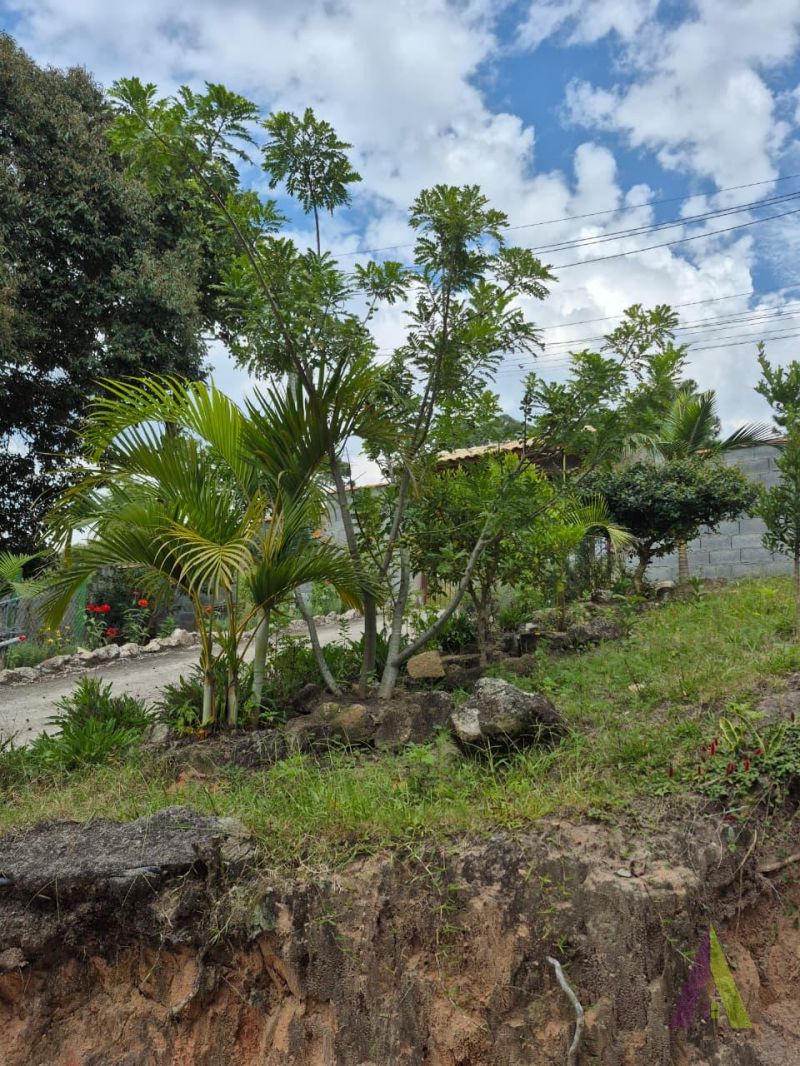 Chácara Próximo ao Centro de São Roque!