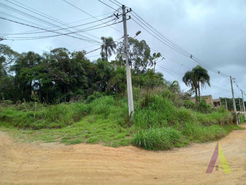 Terreno de 1247m² com 30 metros de frente para a rodovia Bunjiro Nakao!