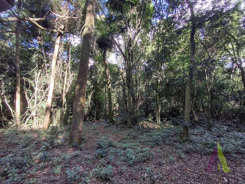 Sitio com nascente de agua e cercado por natureza em São Roque!