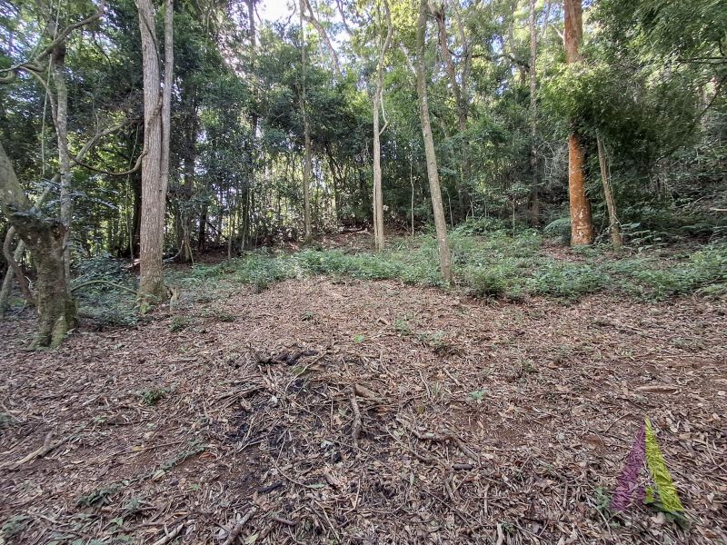 Sitio com nascente de agua e cercado por natureza em São Roque!