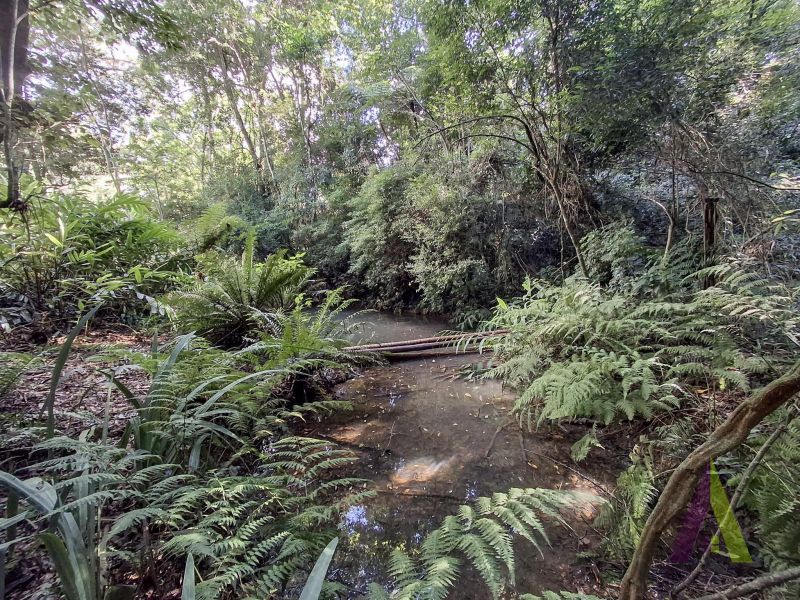 Sitio com nascente de agua e cercado por natureza em São Roque!