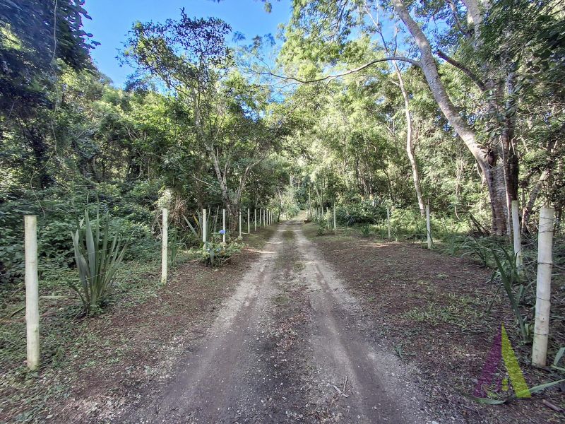 Sitio com nascente de agua e cercado por natureza em São Roque!