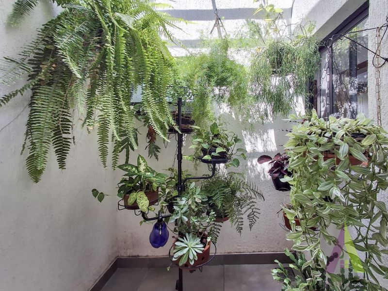 Casa com pé direito alto e jardim de inverno em Araçariguama!