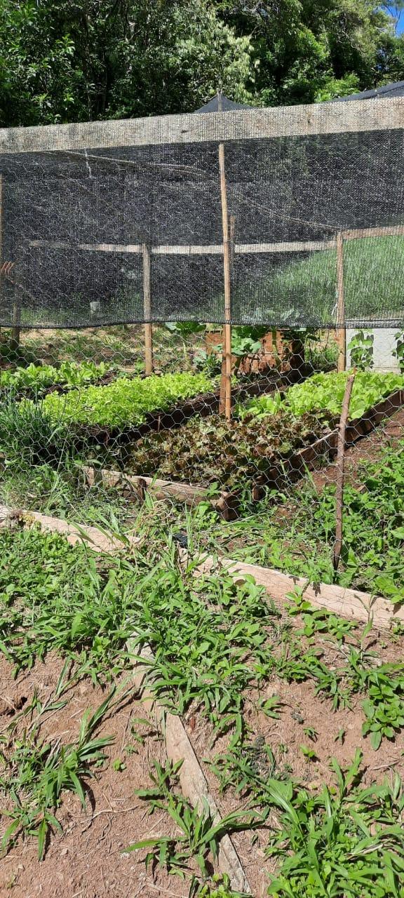 Chácara No Roteiro Do Vinho em São Roque!