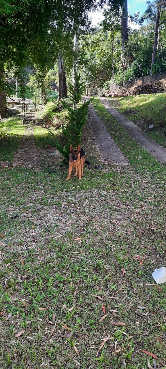 Chácara No Roteiro Do Vinho em São Roque!