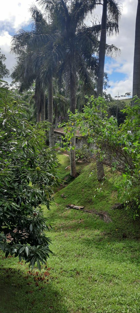 Chácara No Roteiro Do Vinho em São Roque!