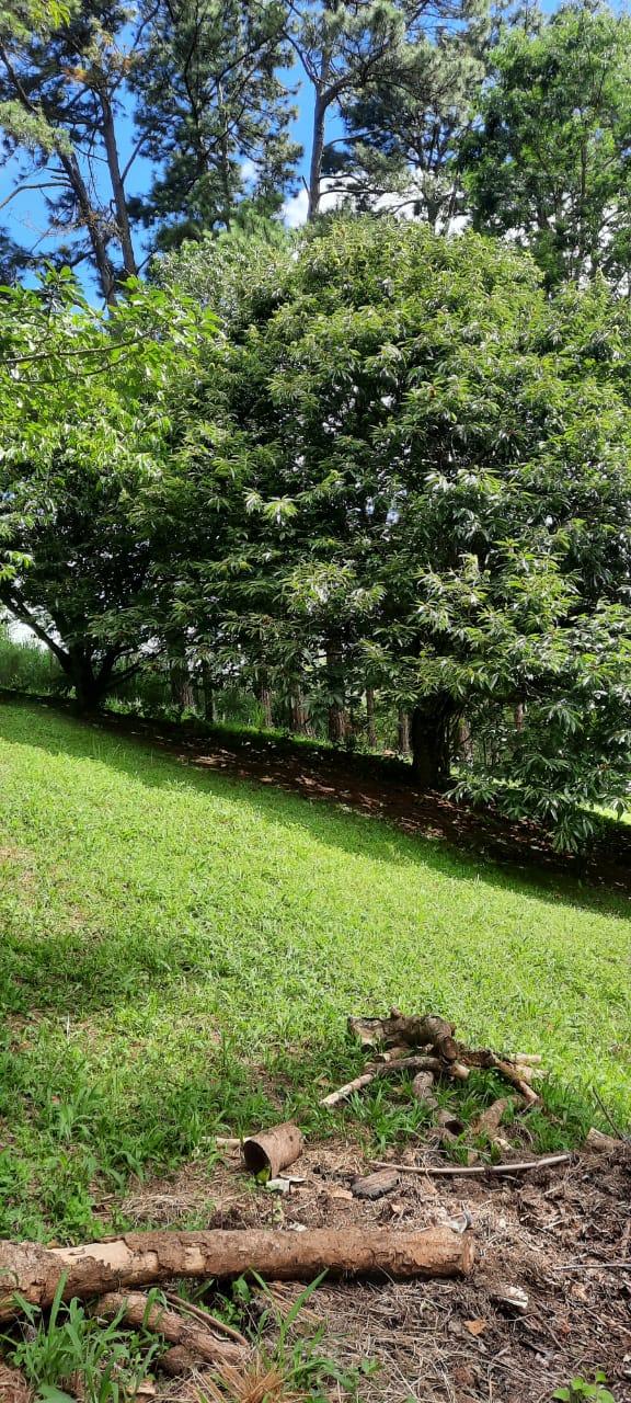 Chácara No Roteiro Do Vinho em São Roque!