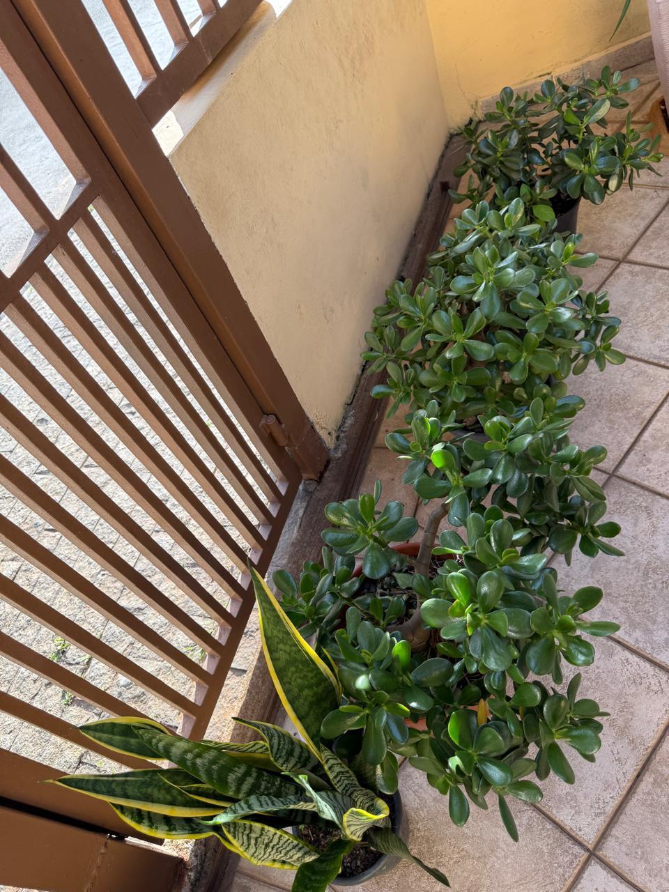 Sobrado em Bairro Tradicional de São Roque!