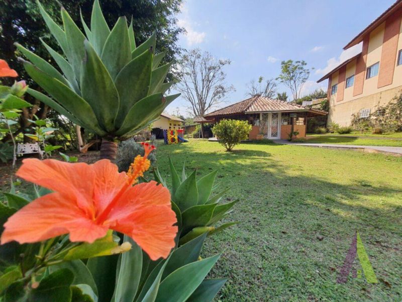  Restaurante na Estrada do Vinho em São Roque!