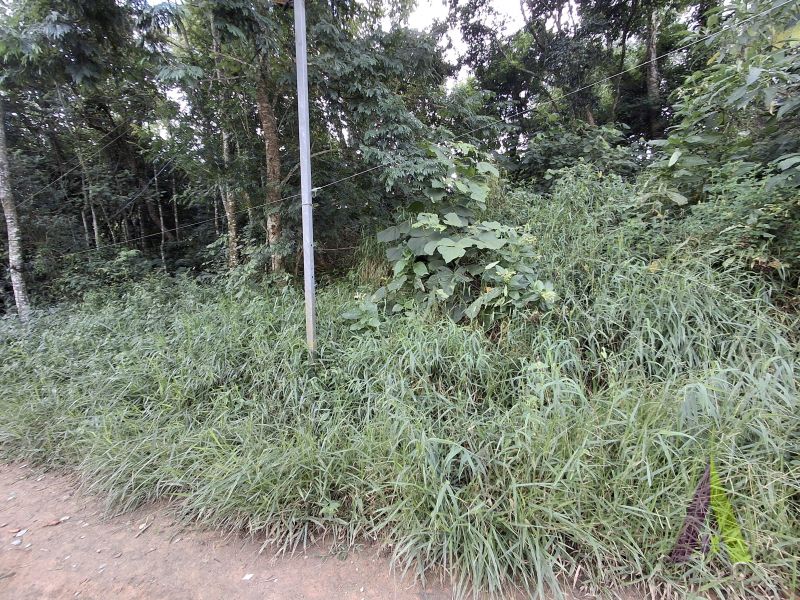 Terreno à venda em bairro tradicional de São Roque!