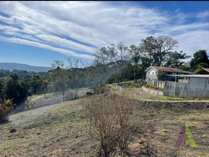 Invista no Roteiro do Vinho e Gere Renda com Chalés!