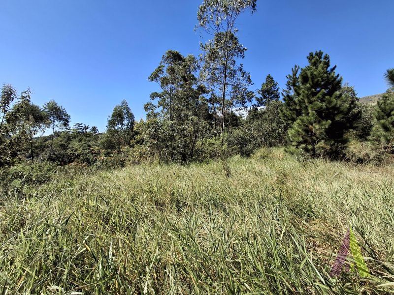 Terreno terraplanado a venda em São Roque!