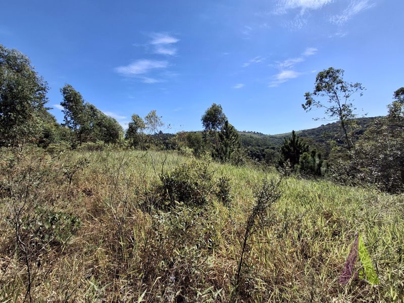 Terreno terraplanado a venda em São Roque!