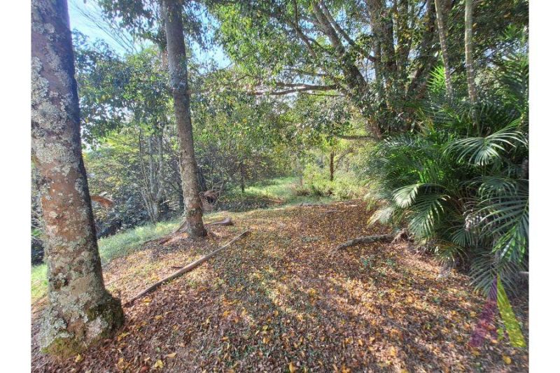 Sitio a venda próximo a cidade e rodeado de muito verde em São Roque!