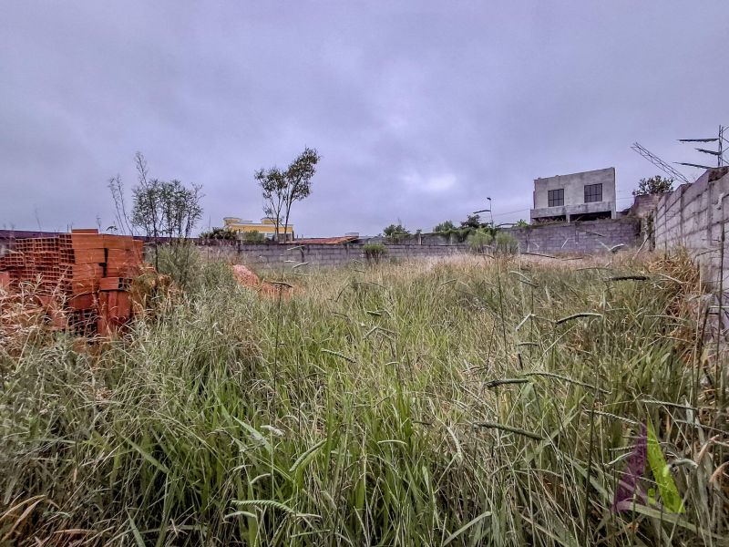 Terreno murado e terraplanado próximo ao Roteiro do Vinho em São Roque!