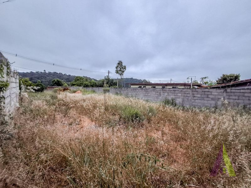 Terreno murado e terraplanado próximo ao Roteiro do Vinho em São Roque!