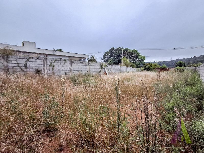 Terreno murado e terraplanado próximo ao Roteiro do Vinho em São Roque!