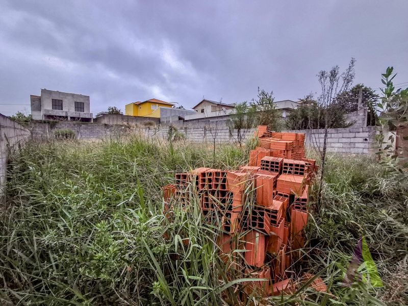 Terreno murado e terraplanado próximo ao Roteiro do Vinho em São Roque!