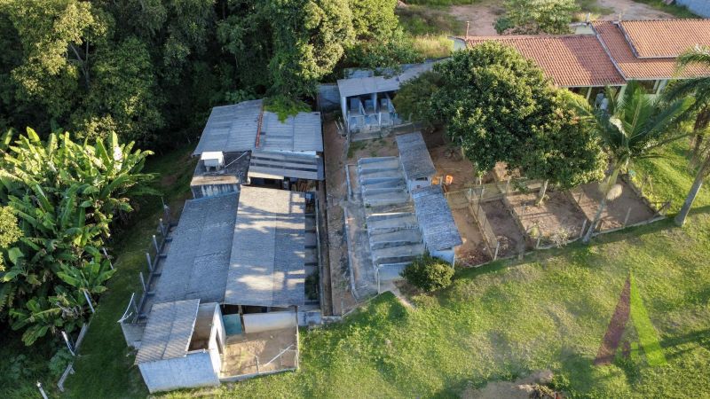 Chácara próxima ao centro com estrutura pra cães em São Roque!