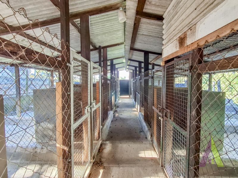 Chácara próxima ao centro com estrutura pra cães em São Roque!