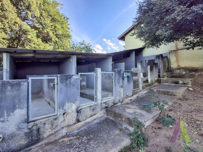 Chácara próxima ao centro com estrutura pra cães em São Roque!