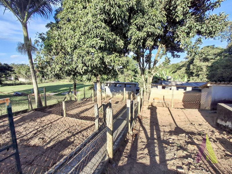 Chácara próxima ao centro com estrutura pra cães em São Roque!