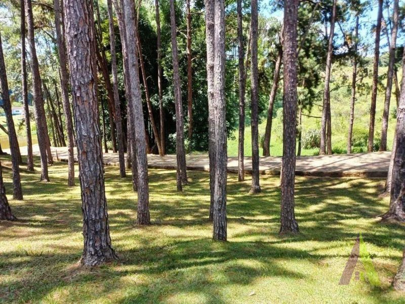 Sitio com lago e cocheira bem localizado em São Roque!