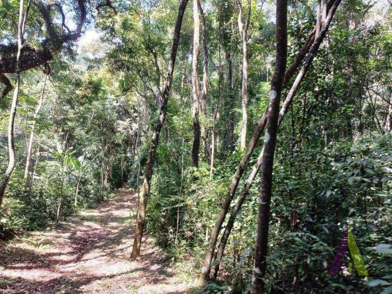 Sitio com lago e cocheira bem localizado em São Roque!