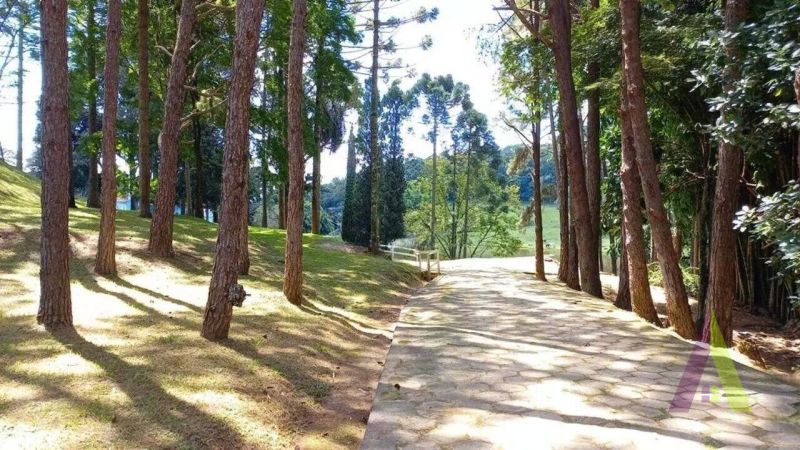 Sitio com lago e cocheira bem localizado em São Roque!