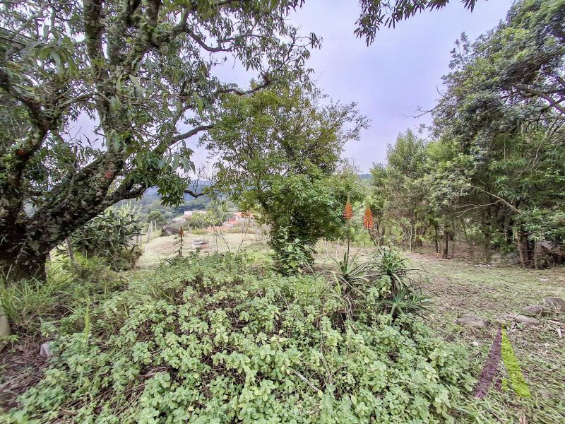 Terreno com uma casa antiga próxima ao roteiro do vinho de São Roque!