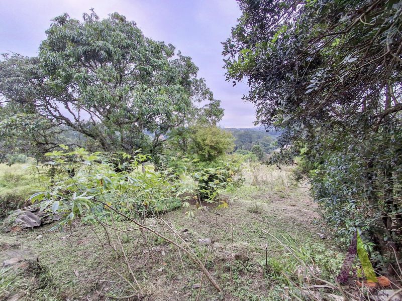 Terreno com uma casa antiga próxima ao roteiro do vinho de São Roque!