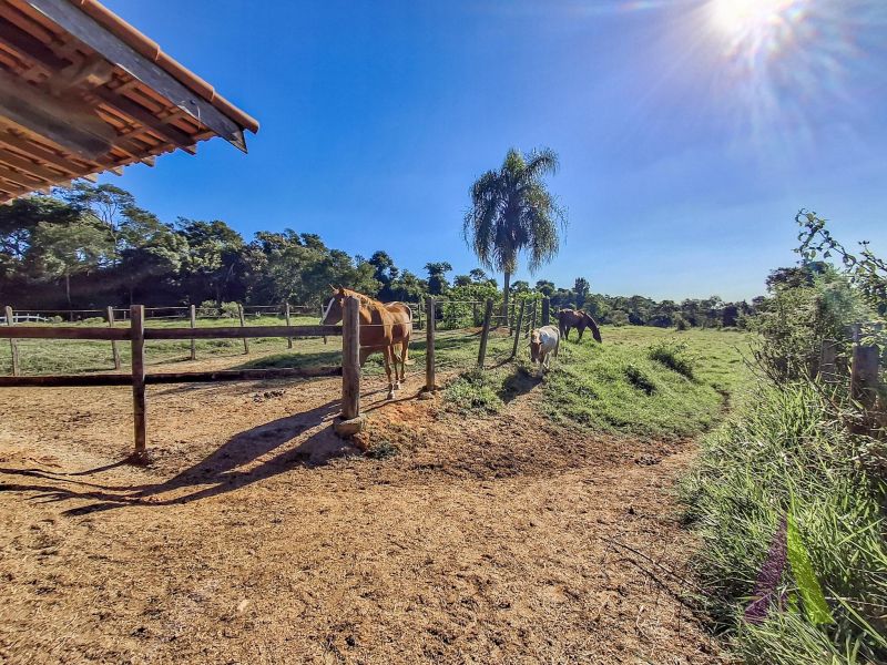 Haras pronto com lago, pista 75m x 35 m e redondel pronto em São Roque!